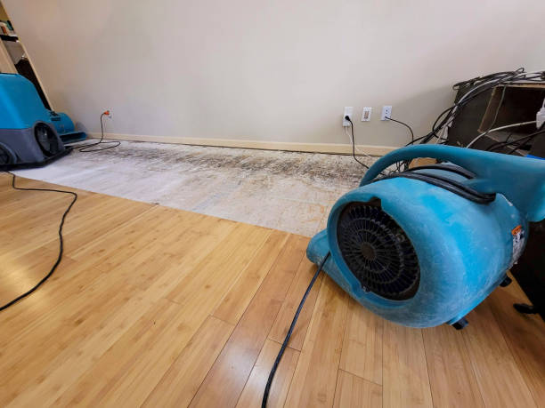 Professional Structural Drying technician working in Athens, PA